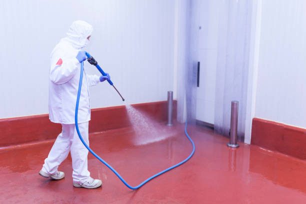 Best Patio and Deck Pressure Washing  in Newkirk, OK